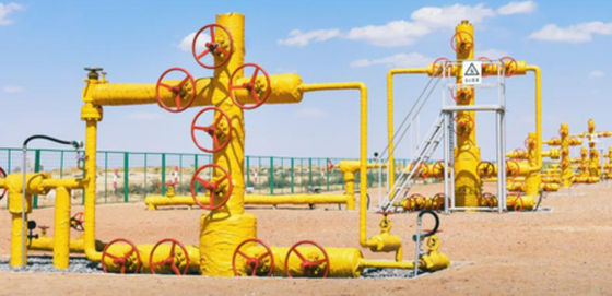 2 1/16-7 1/16 In Wellhead Christmas Tree 3000psi-20000psi